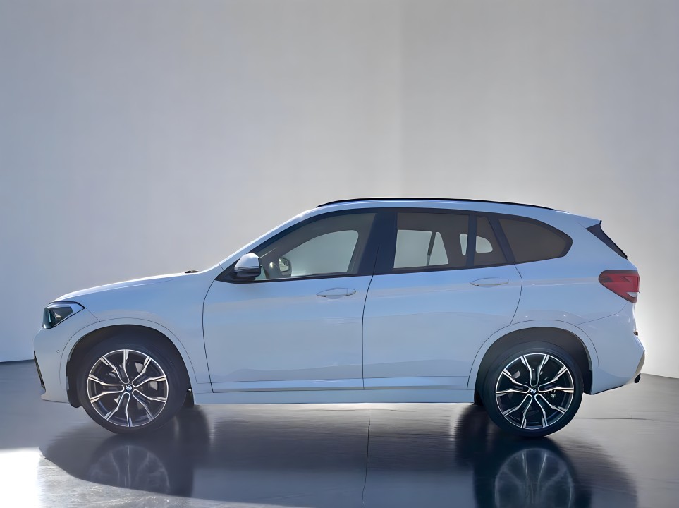 BMW X1 xDrive25d M-Sport (4)