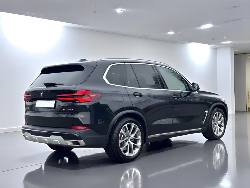 BMW X5 xDrive50e (2)