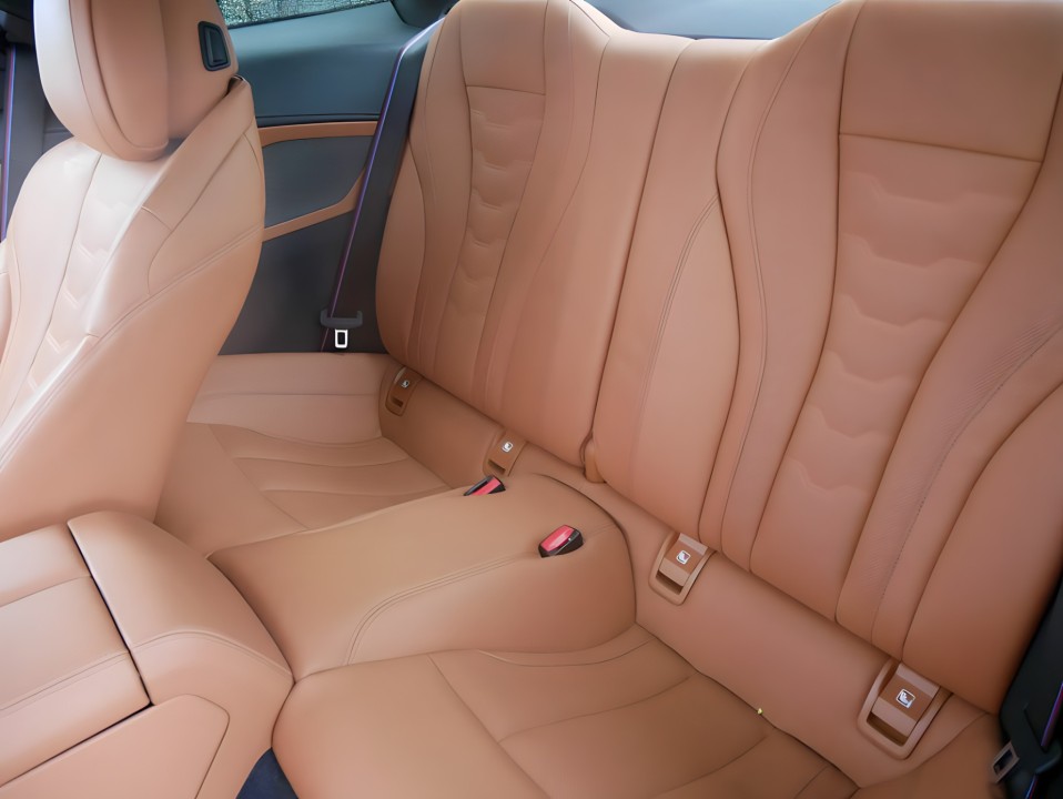 BMW Seria 8 M850i xDrive - foto 11