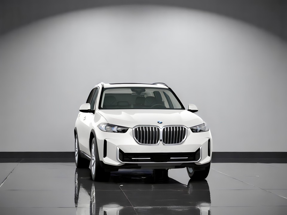 BMW X5 xDrive30d (2)