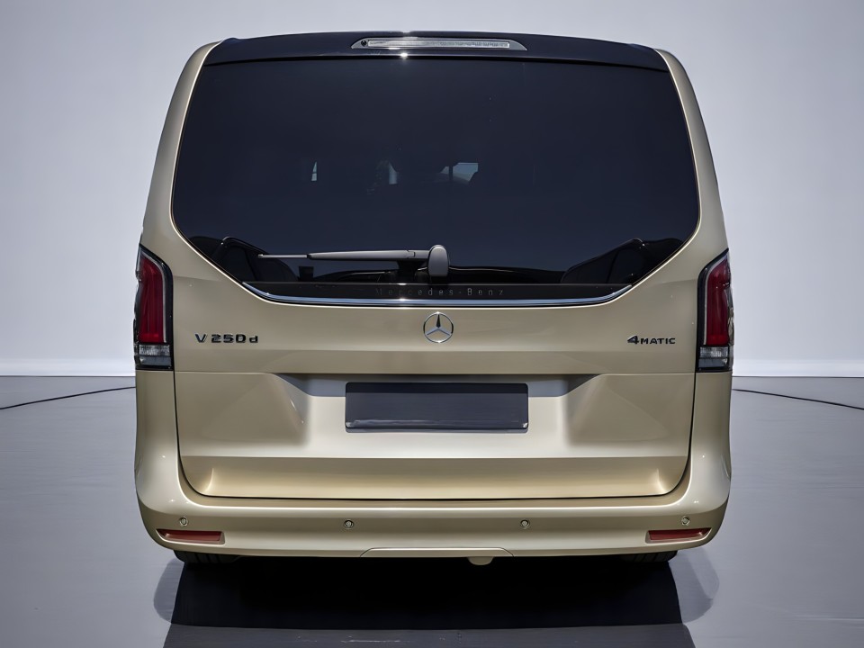 Mercedes-Benz V 250d 4MATIC Avantgarde Long (4)