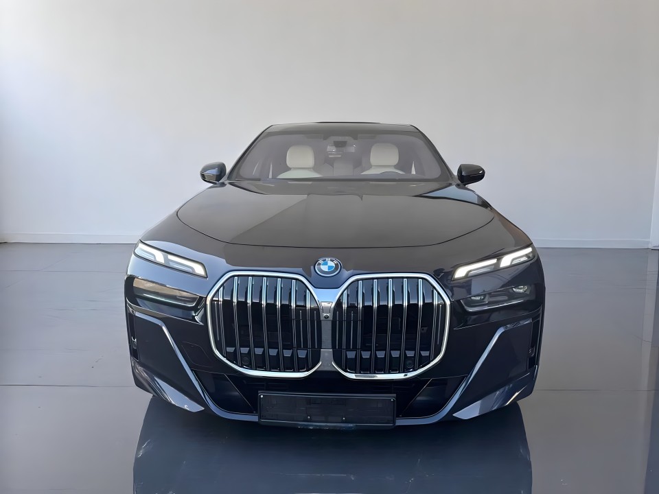 BMW Seria 7 750 e xDrive (2)
