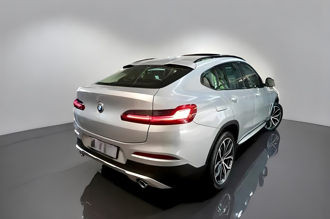BMW X4 xDrive20d xLine (5)