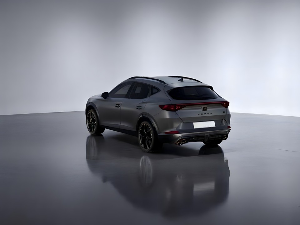 Cupra Formentor VZ5 2.5TSI DSG 4DRIVE ABT (5)