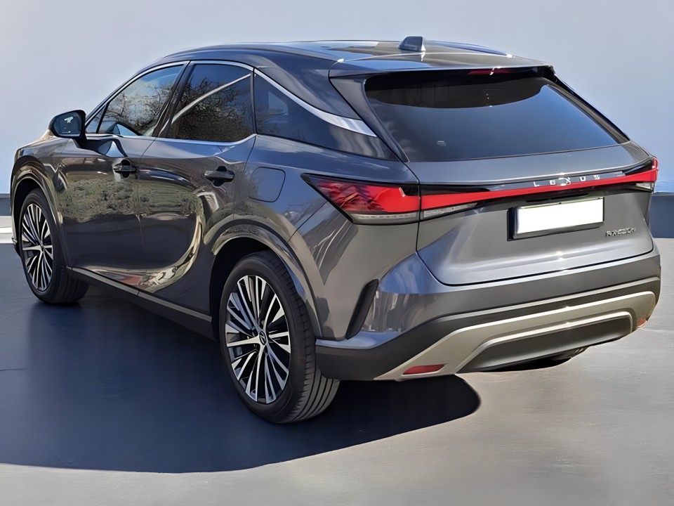 Lexus Seria RX 450h e-CVT (5)