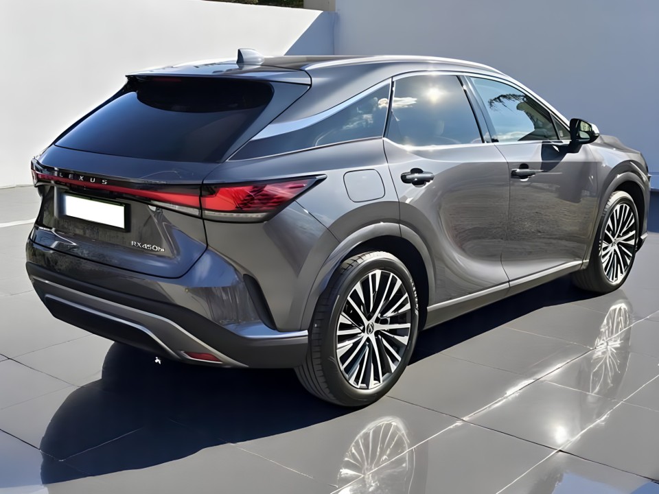 Lexus Seria RX 450h e-CVT (4)