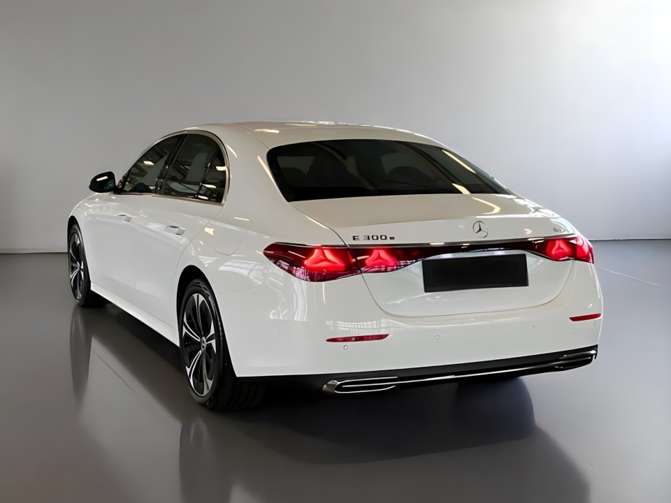 Mercedes-Benz E 300 e 4MATIC Sedan (4)