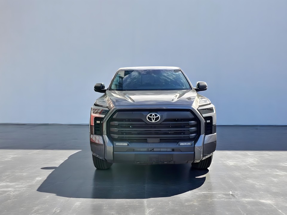 Toyota Tundra 4x4 Double Cab (2)