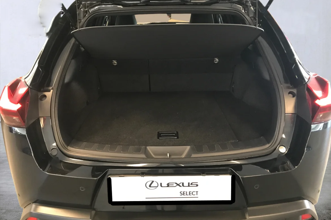 Lexus UX 250h - foto 9