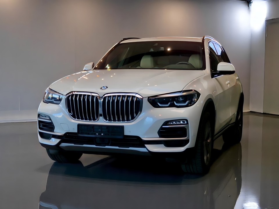 BMW X5 xDrive45e xLine (3)