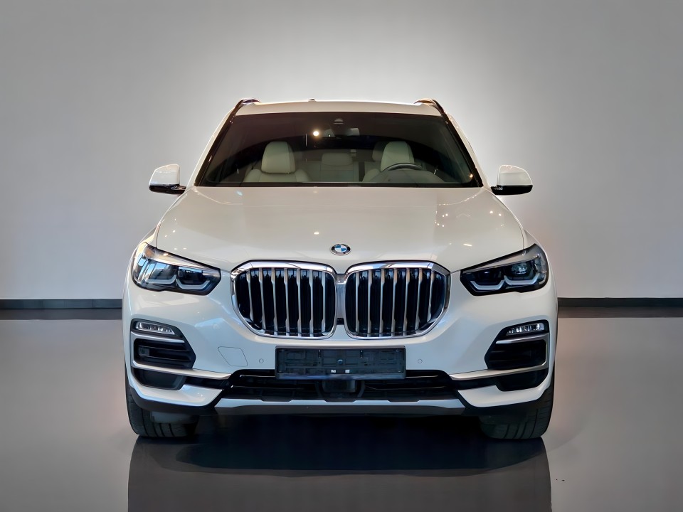 BMW X5 xDrive45e xLine (2)