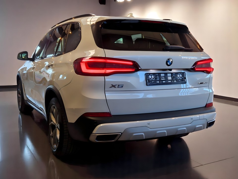 BMW X5 xDrive45e xLine (4)