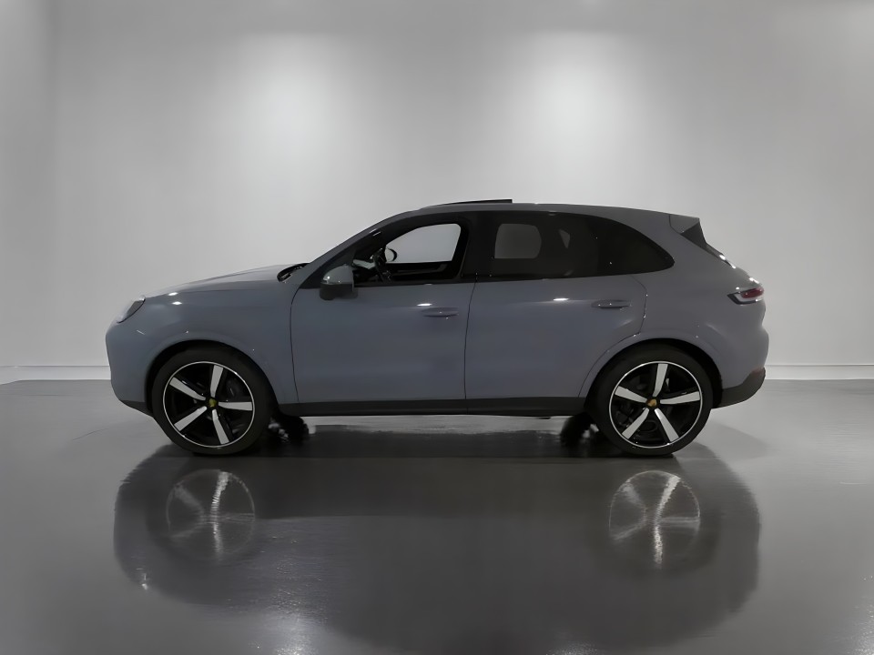 Porsche Cayenne 3.0 (3)