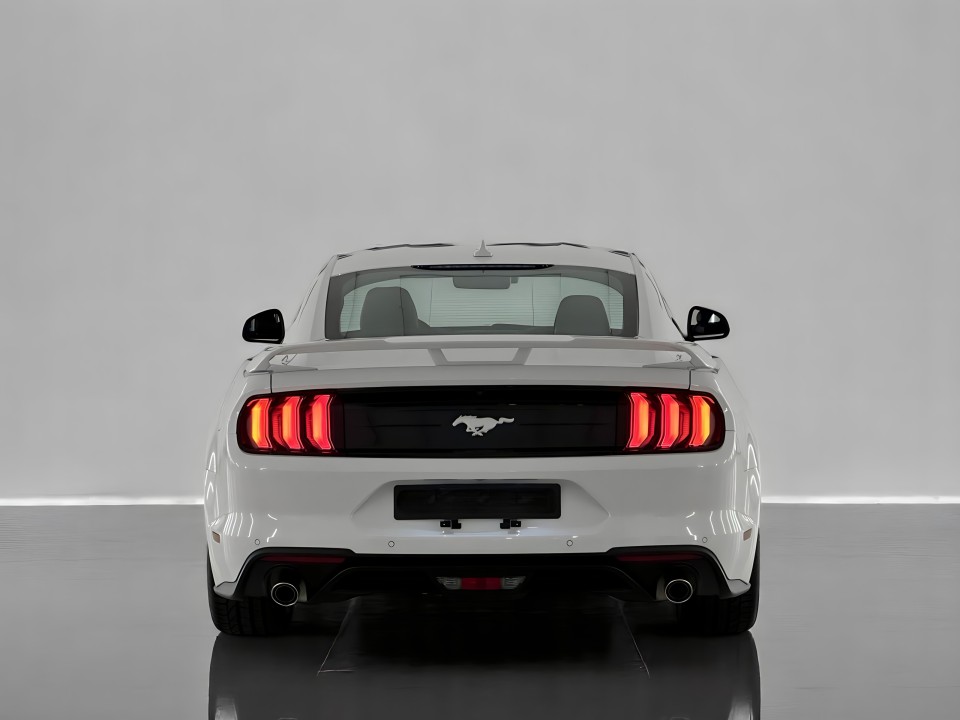 Ford Mustang 2.3 Fastback Premium Coupe (4)