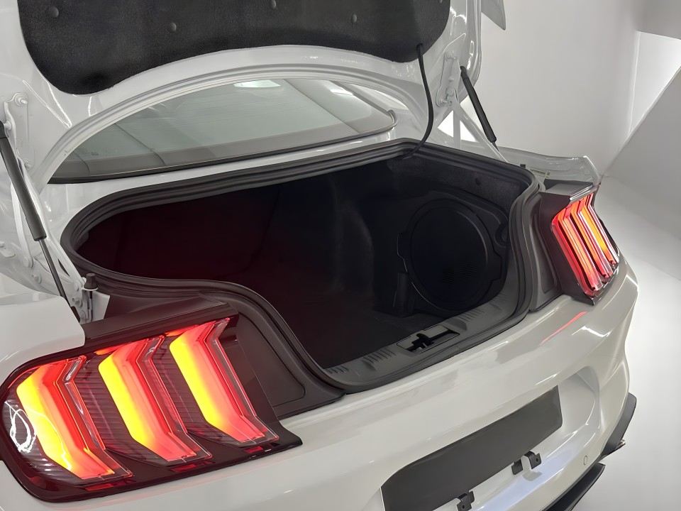Ford Mustang 2.3 Fastback Premium Coupe - foto 17