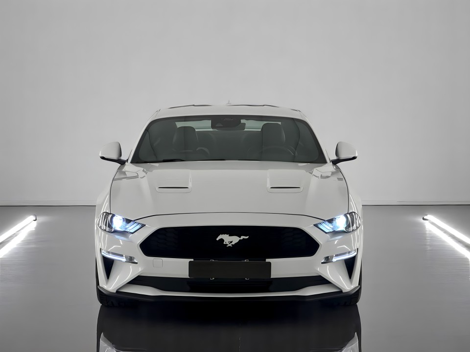 Ford Mustang 2.3 Fastback Premium Coupe (3)