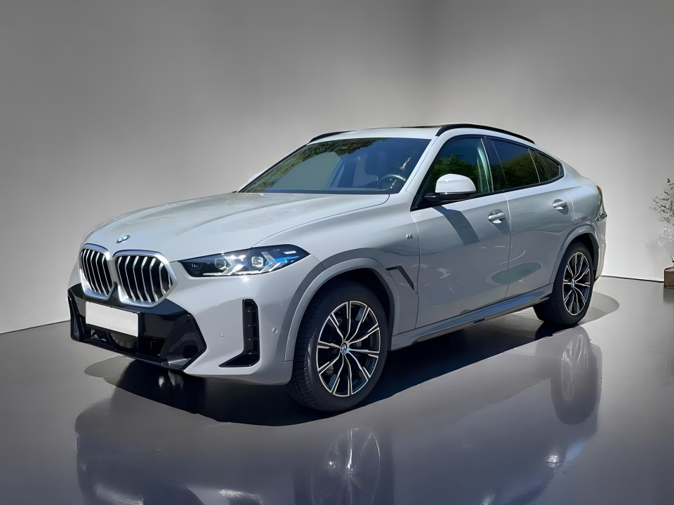 BMW X6 xDrive30d M Sport (4)