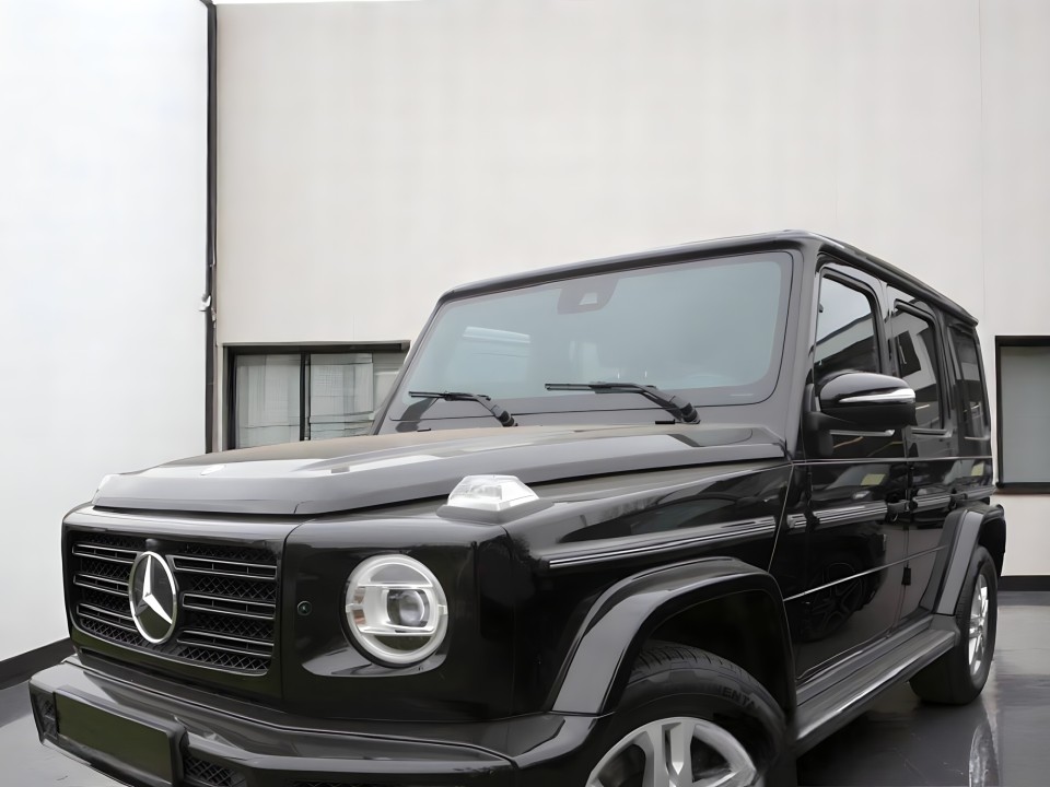 Mercedes-Benz G 350d (1)