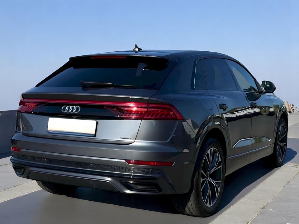 Audi Q8 Quattro Tiptronic (3)