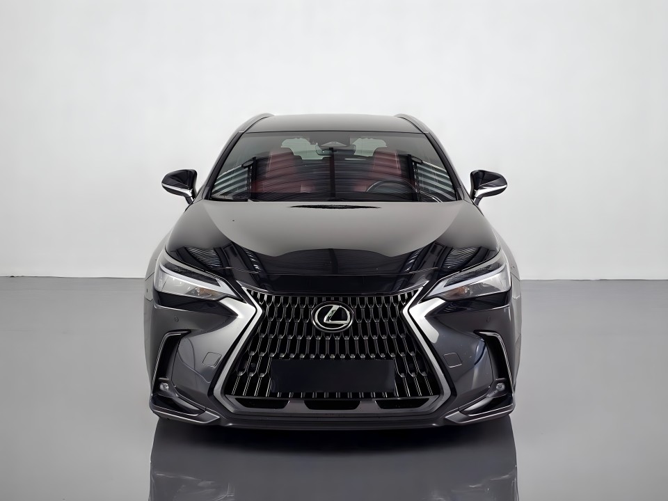 Lexus Seria NX 450h 2.5PHEV 4x4 EXECUTIVE (2)