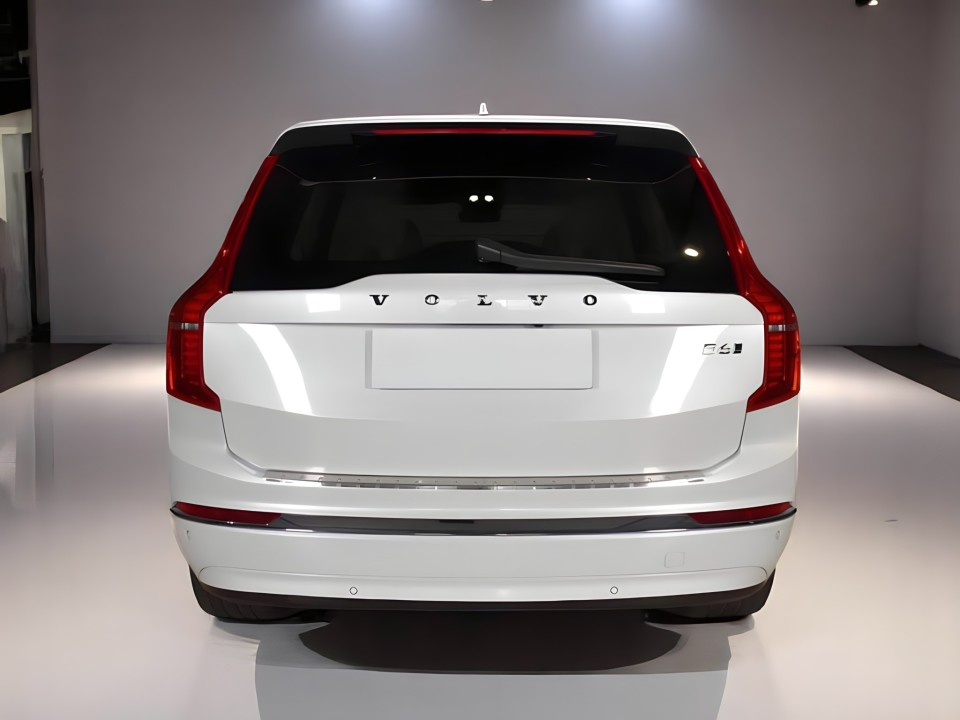 Volvo XC 90 2.0 B6 (3)