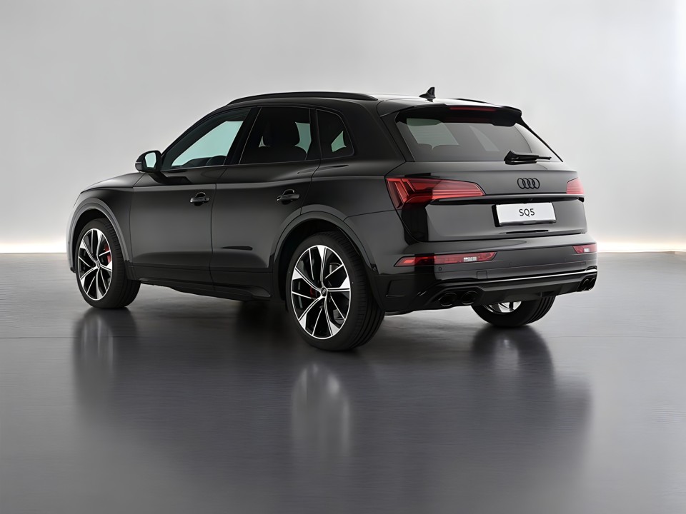 Audi SQ5 TDI tiptronic (3)