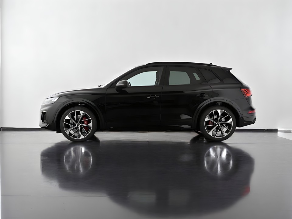 Audi SQ5 TDI tiptronic (4)
