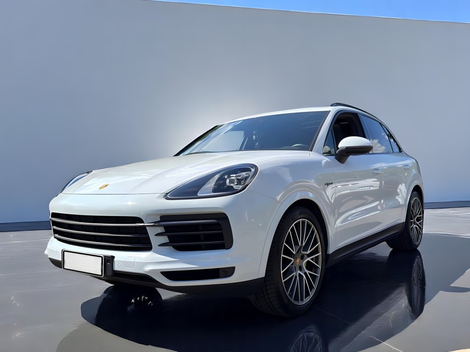 Porsche Cayenne E-Hybrid Platinum (3)