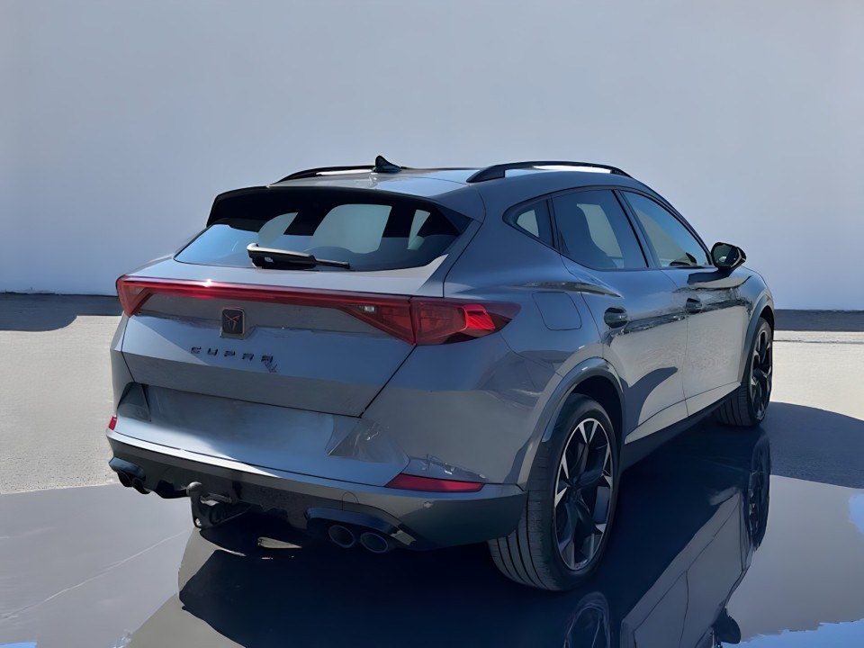 Cupra Formentor VZ (2)