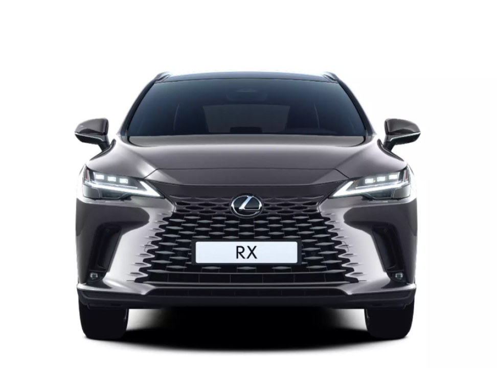 Lexus Seria RX 350h E-FOUR Executive (2)