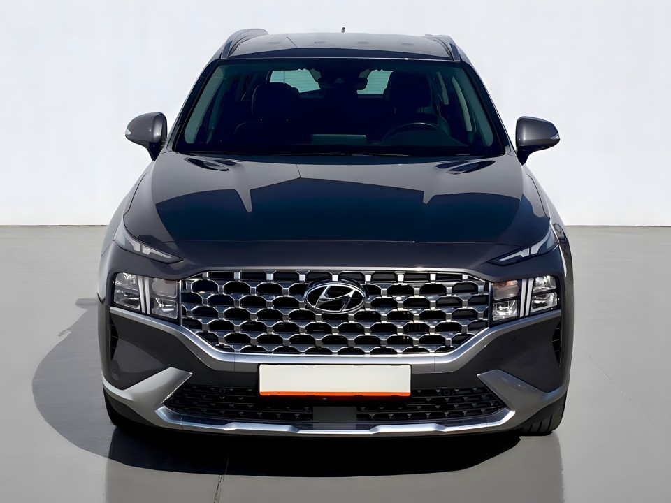 Hyundai Santa Fe (5)