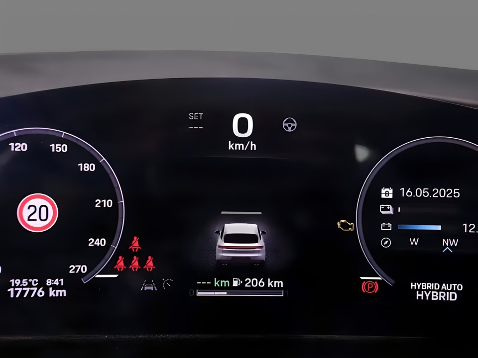 Porsche Cayenne E-Hybrid - foto 10