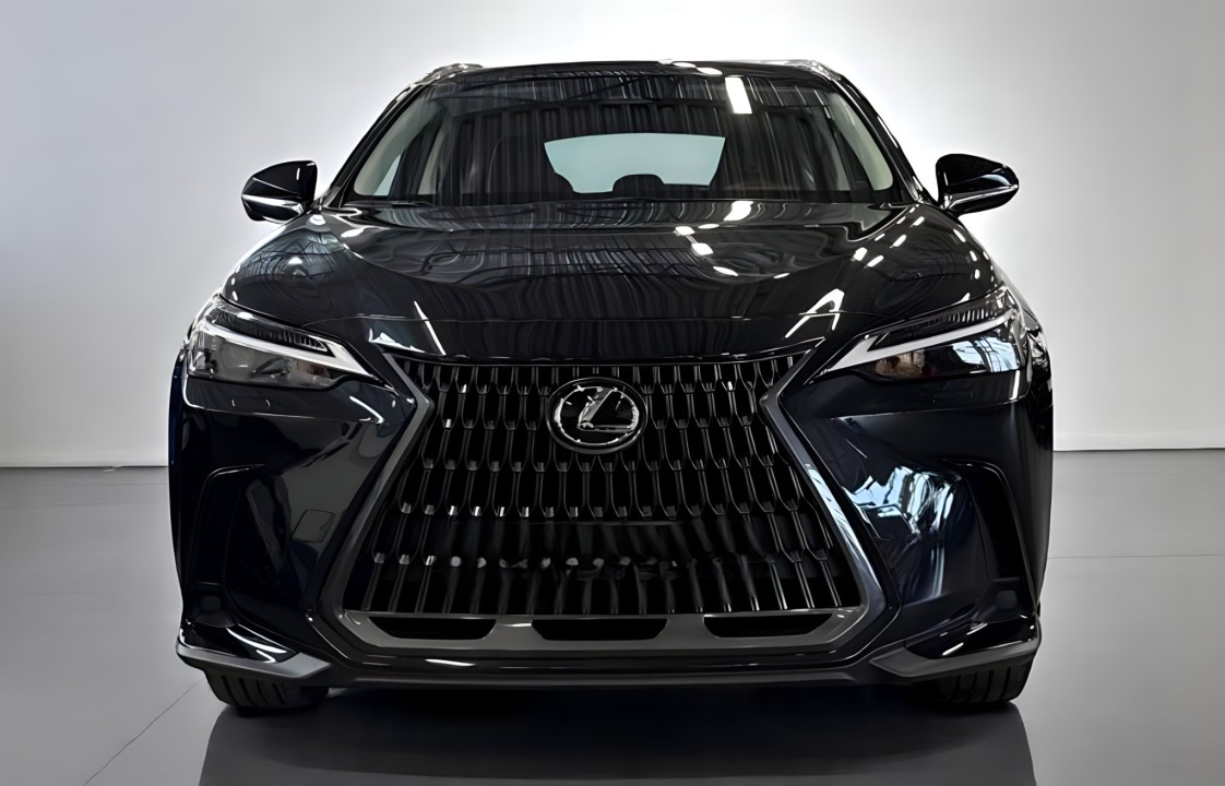 Lexus Seria NX 350h (5)