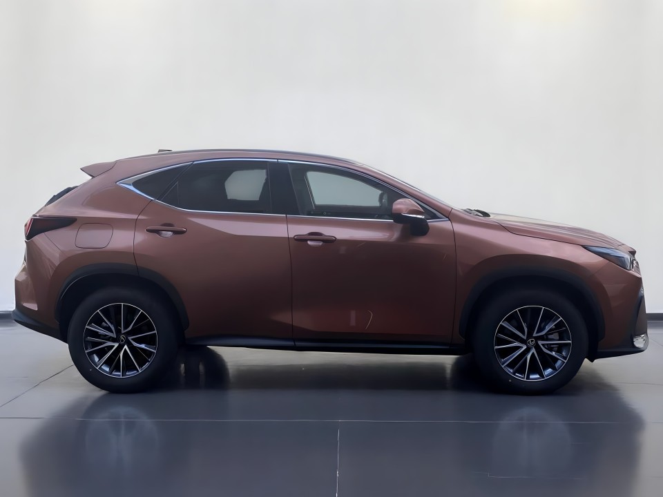 Lexus Seria NX 450h+ Plug-In Hybrid (2)