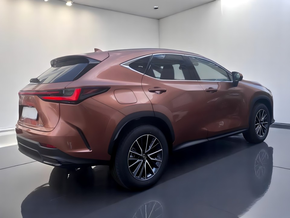 Lexus Seria NX 450h+ Plug-In Hybrid (3)