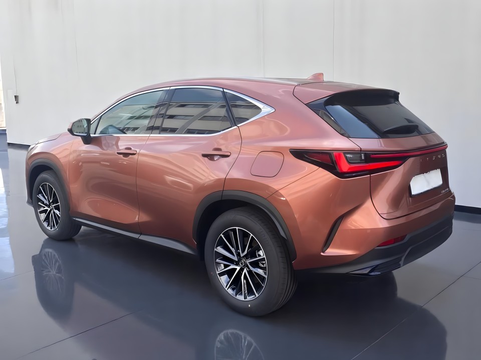Lexus Seria NX 450h+ Plug-In Hybrid (4)