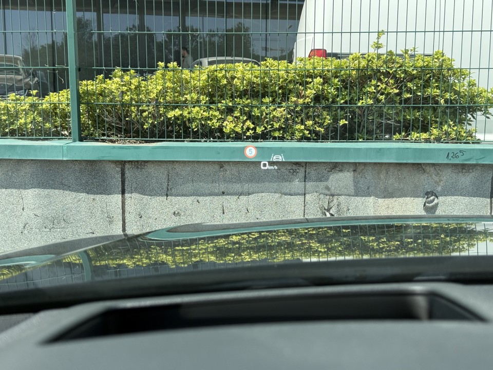 Audi Q8 60 TFSIe quattro tiptronic S-Line - foto 27