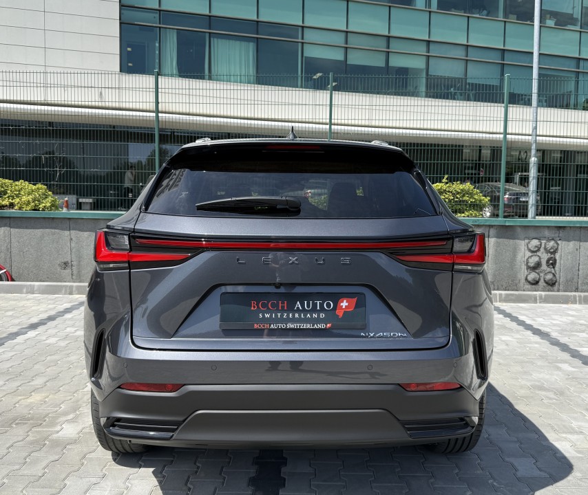 Lexus Seria NX 450h+ AWD (4)
