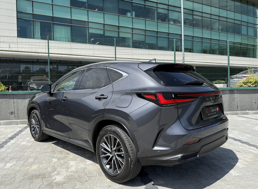 Lexus Seria NX 450h+ AWD (5)