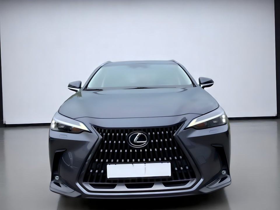 Lexus Seria NX 350h AWD Executive (2)