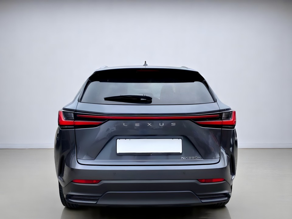 Lexus Seria NX 350h AWD Executive (3)