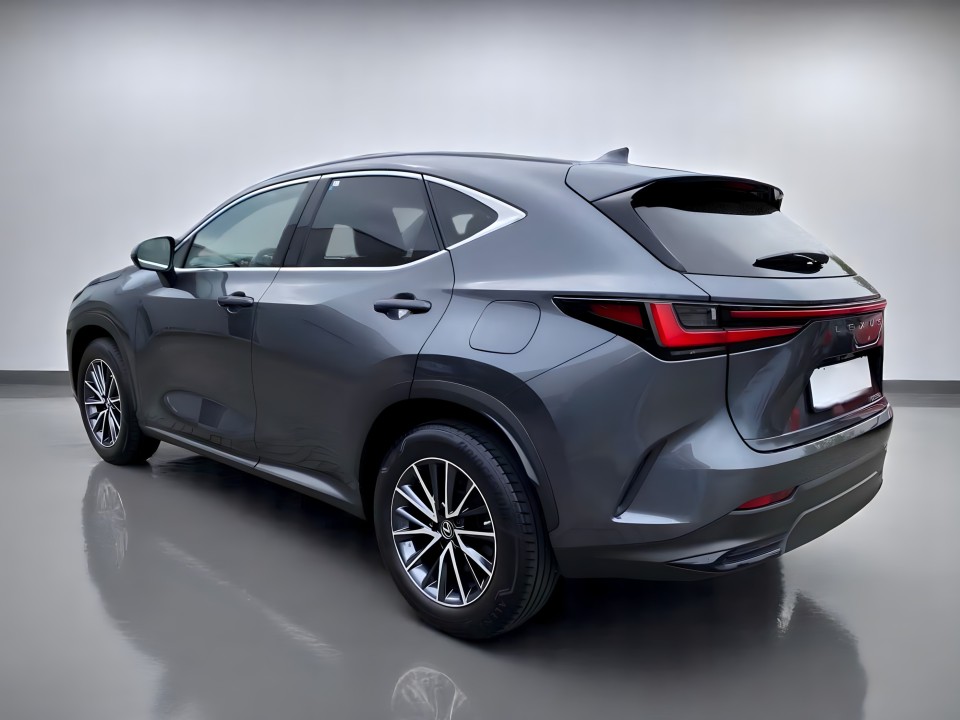 Lexus Seria NX 350h AWD Executive (4)