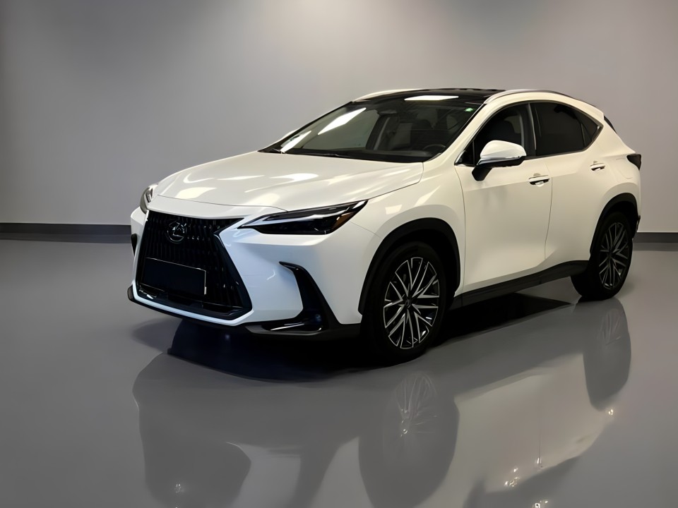 Lexus NX 350h 2.5 PRESTIGE (3)