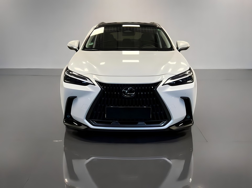 Lexus NX 350h 2.5 PRESTIGE (2)
