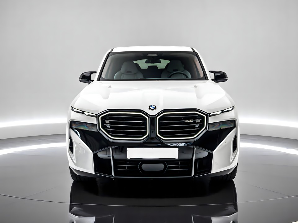 BMW XM Silverstone (2)