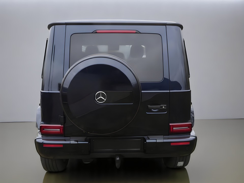 Mercedes-Benz G 350d (3)