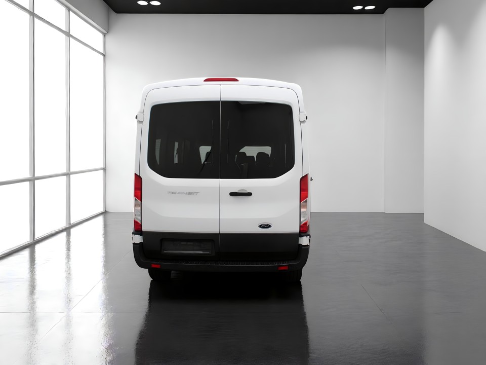 Ford Transit 350 (5)