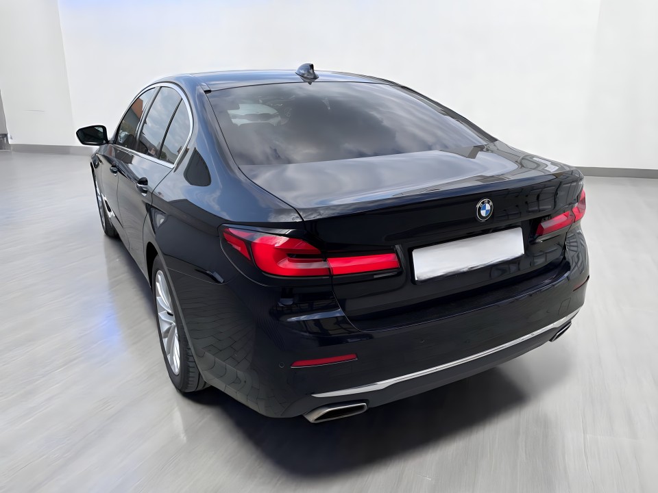 BMW Seria 5 530d xDrive Luxury line (5)