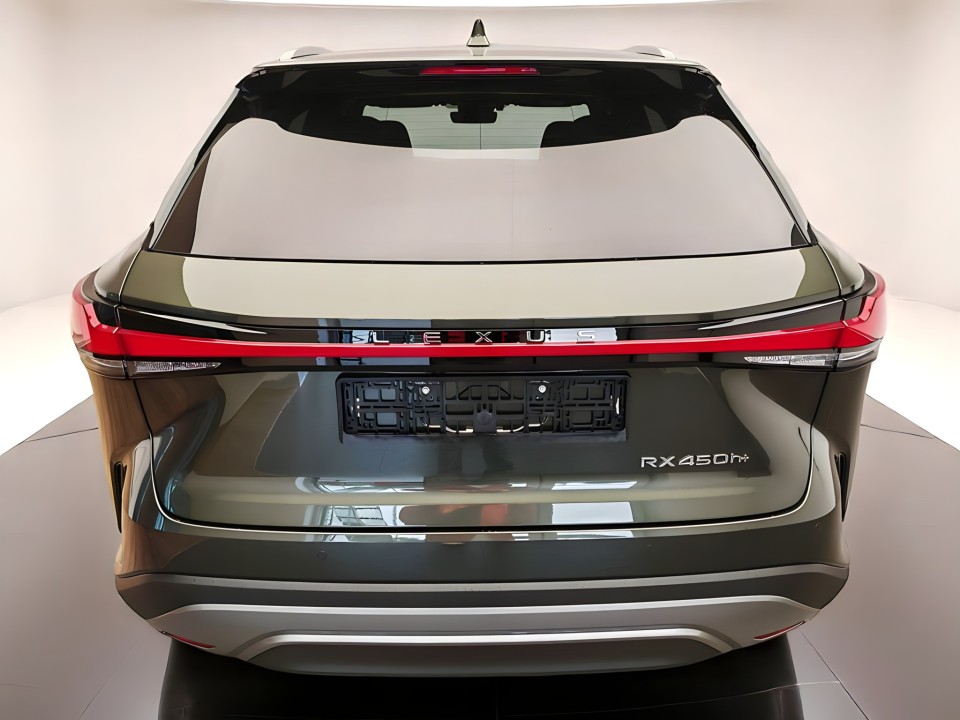 Lexus Seria RX 450h+ Executive (5)