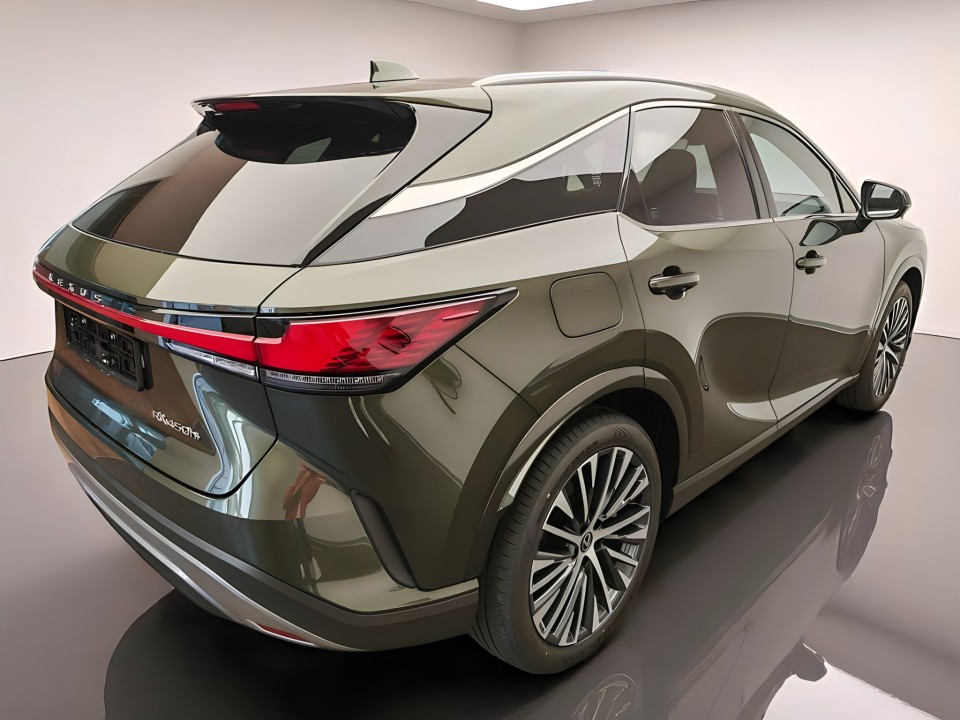 Lexus Seria RX 450h+ Executive (4)